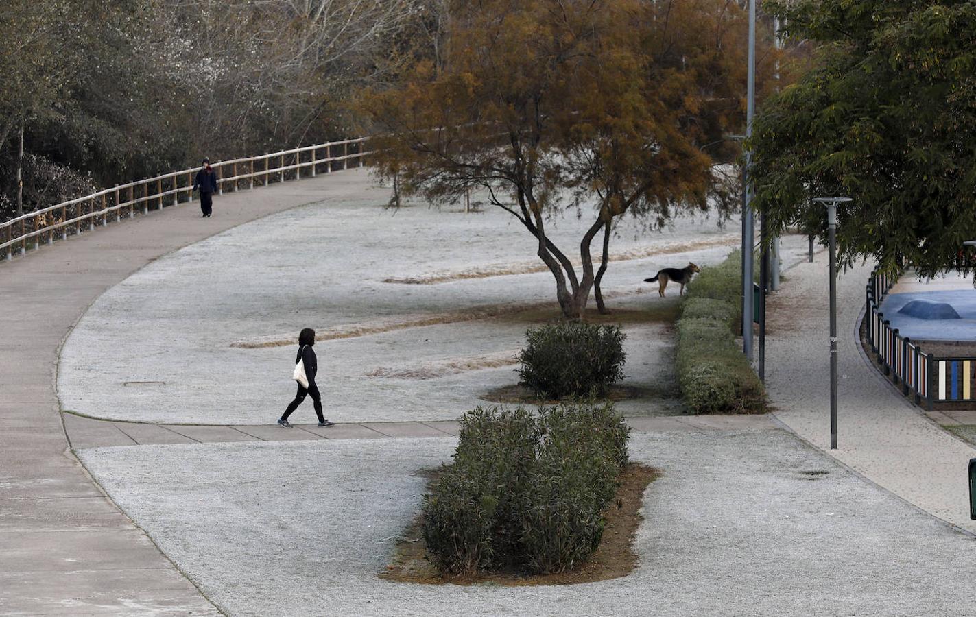 La mañana de frío en Córdoba, en imágenes