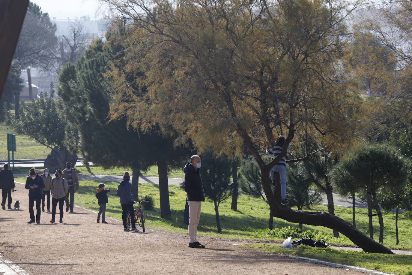 #ReyesMagosABC Así han esperado los niños la llegada de los Reyes a Córdoba, en imágenes