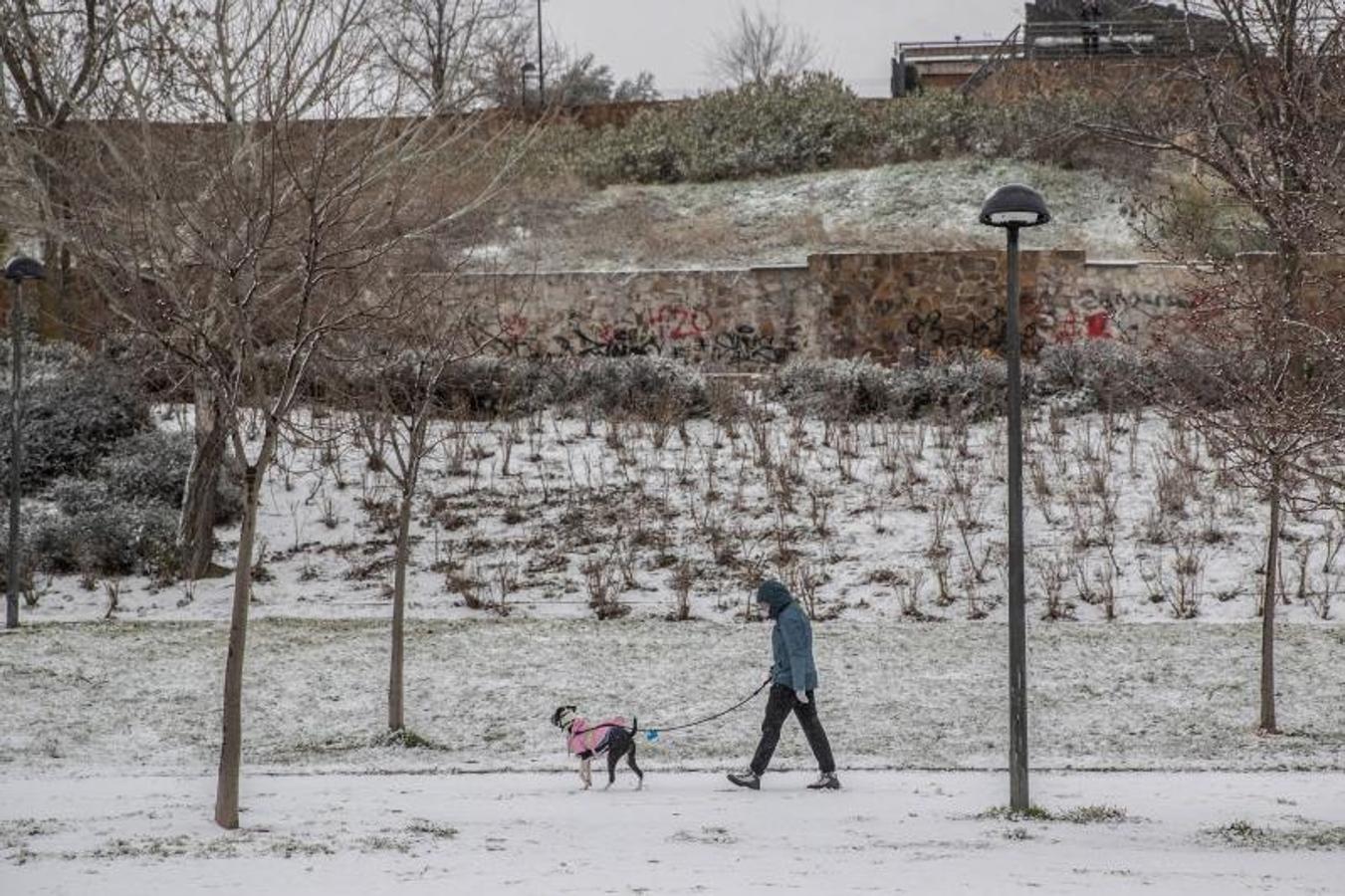 Parques y aceras de Madrid se han llenado de nieve en cuestión de minutos. 