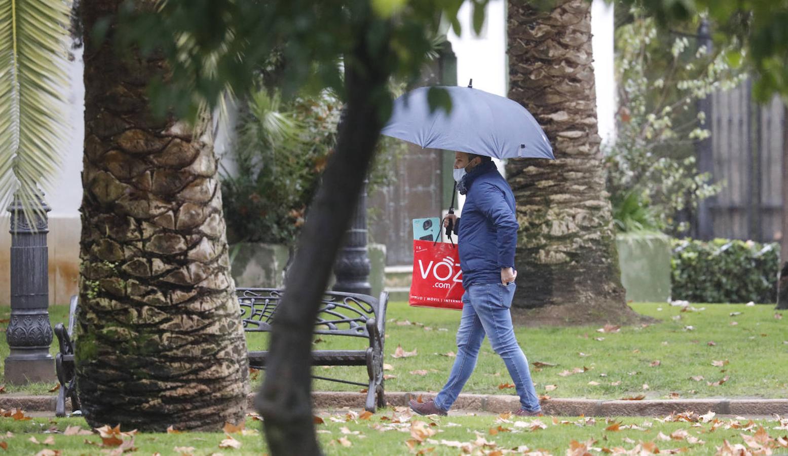 Borrasca Filomena | Mañanas de frío y lluvia invernal en Córdoba