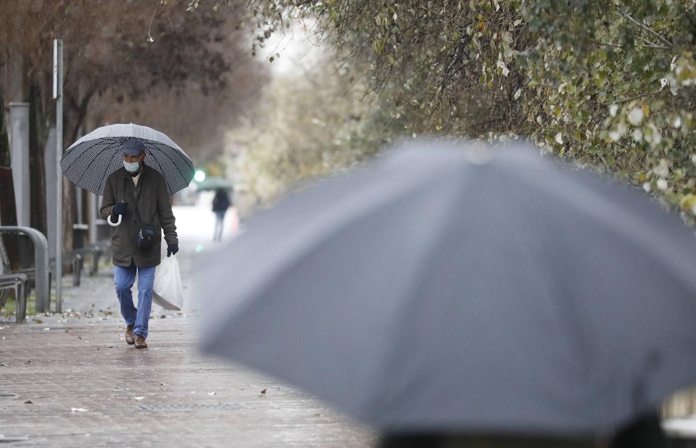 Borrasca Filomena | Mañanas de frío y lluvia invernal en Córdoba