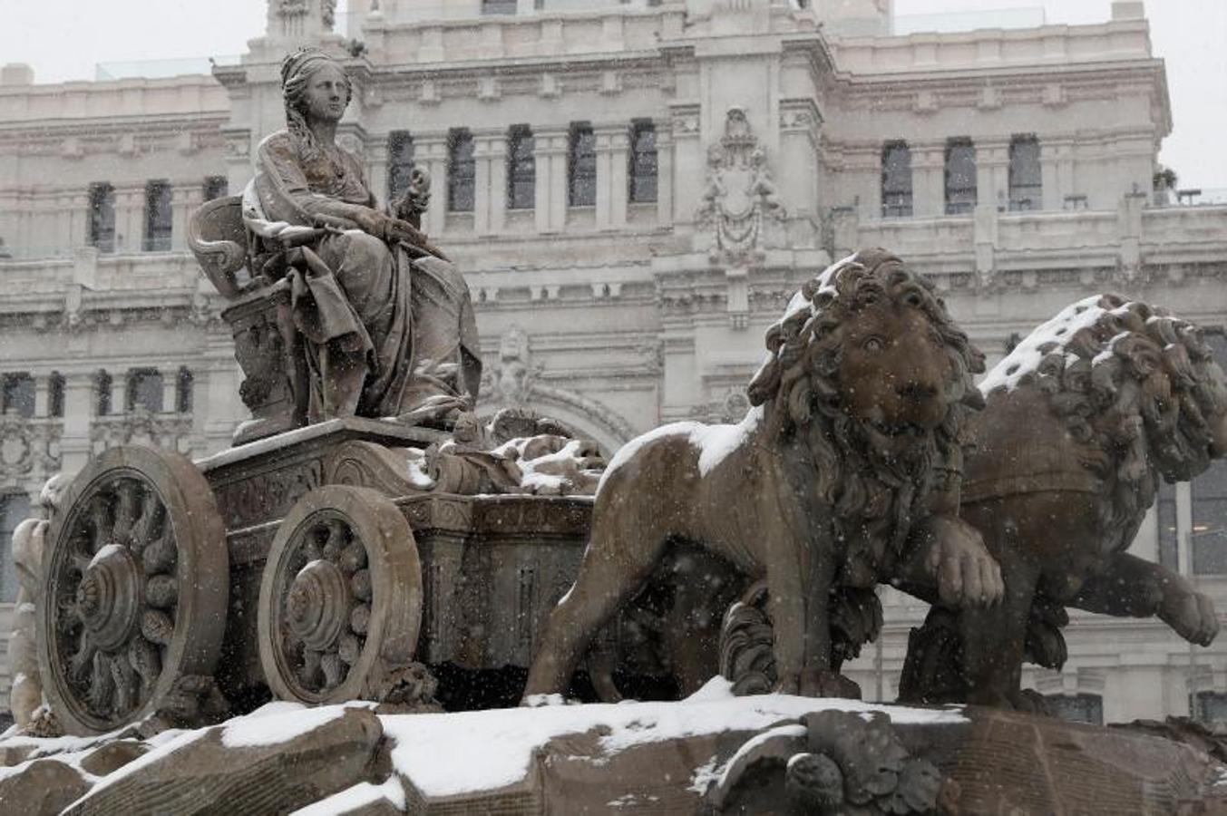 La Cibeles, más blanca que nunca. La fuente de La Cibeles, durante una fuerte nevada este viernes en el centro de Madrid. En este lugar celebra los títulos el Real Madrid, por lo que está acostumbrada a vestirse de blanco. Sin embargo, la intensa nevada ha provocado que luzca más blanca que nunca.