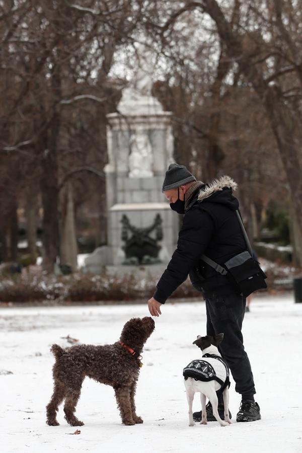 Antes del cierre. Un hombre juega con sus perros sobre el manto de nieve que cubre el parque del Retiro, este viernes, antes de que el Ayuntamiento de Madrid active, a las 18 horas, la alerta roja del Protocolo de actuación por meteorología adversa ante la previsión de nevadas en la capital. El Retiro y otros ocho parques permanecerán cerrados hasta el sábado.