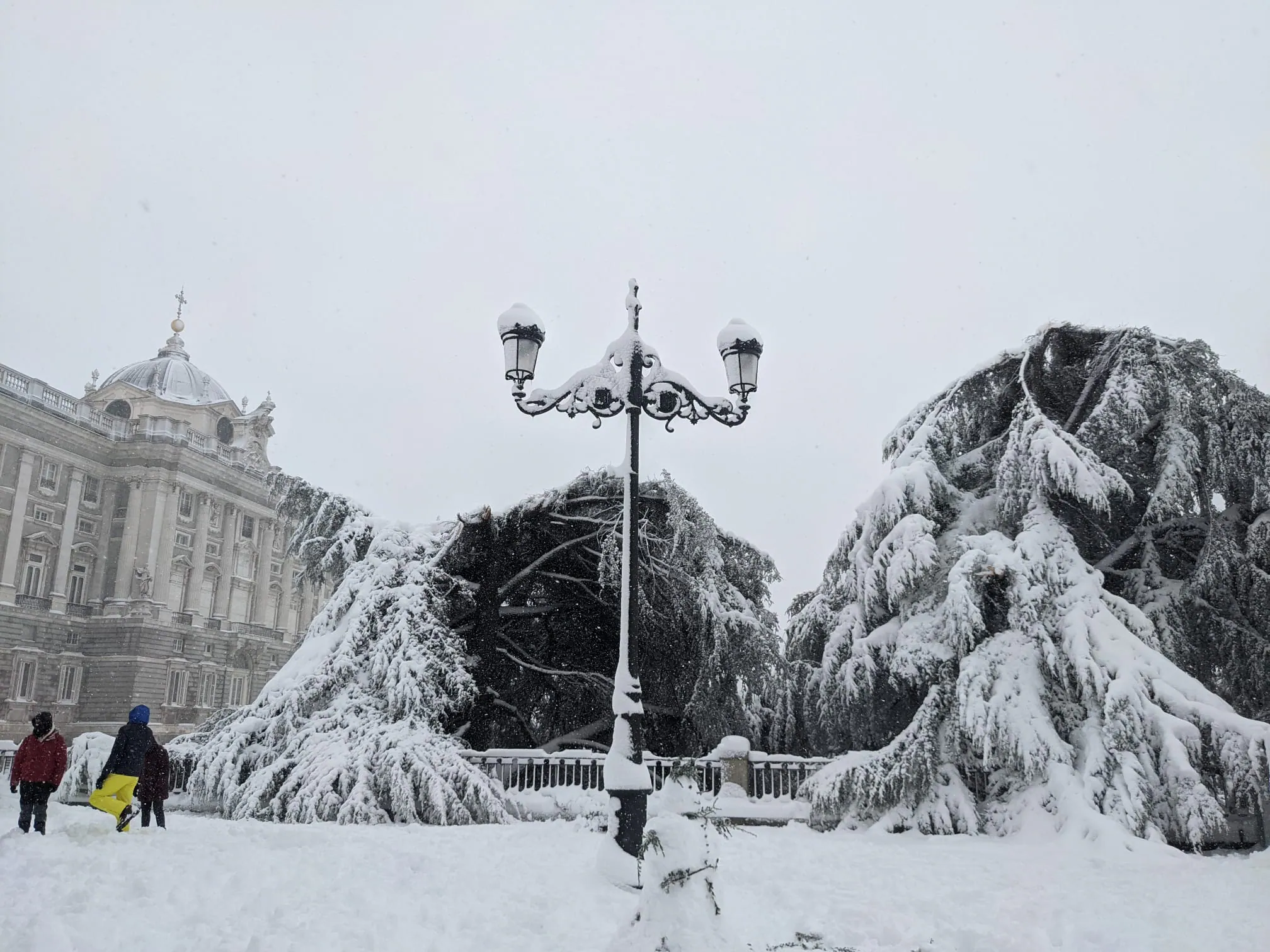 Árboles destrozados por el peso de la nieve junto al Palacio de Oriente en Madrid. 