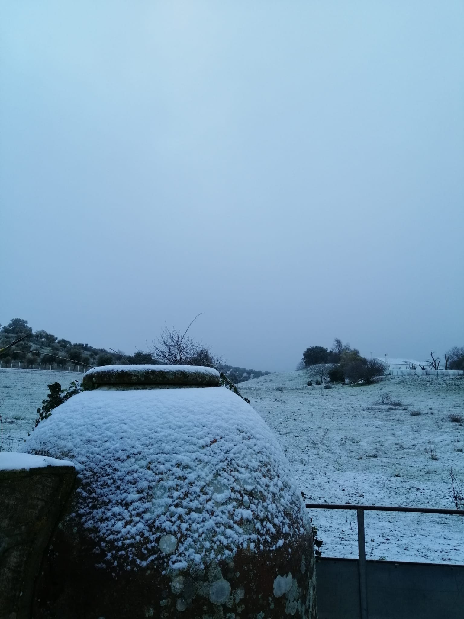 En imágenes, las primeras nevadas en la Sierra Norte de Sevilla