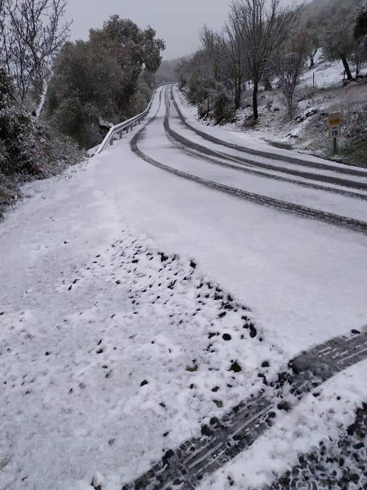 En imágenes, las primeras nevadas en la Sierra Norte de Sevilla