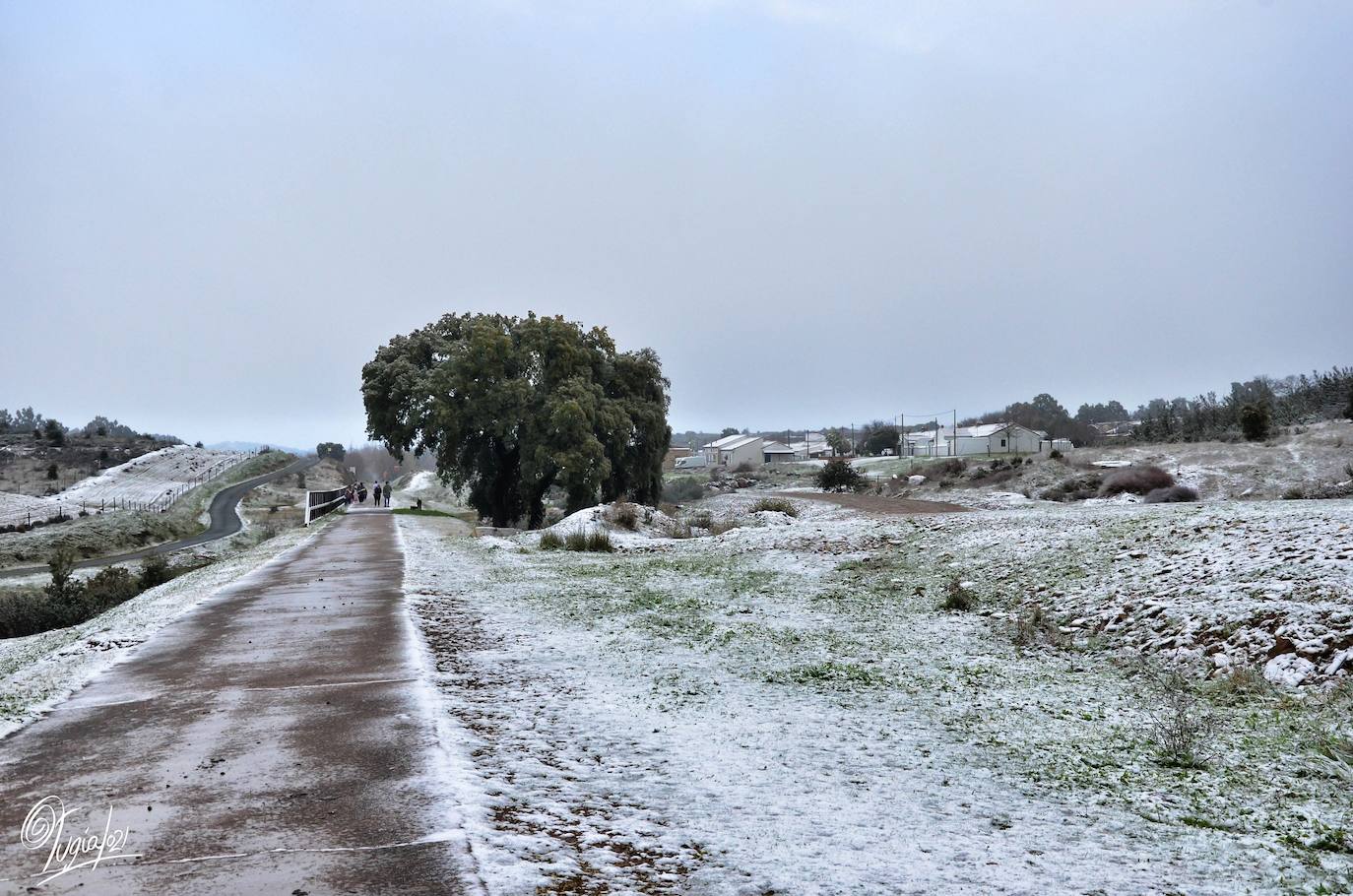 En imágenes, las primeras nevadas en la Sierra Norte de Sevilla