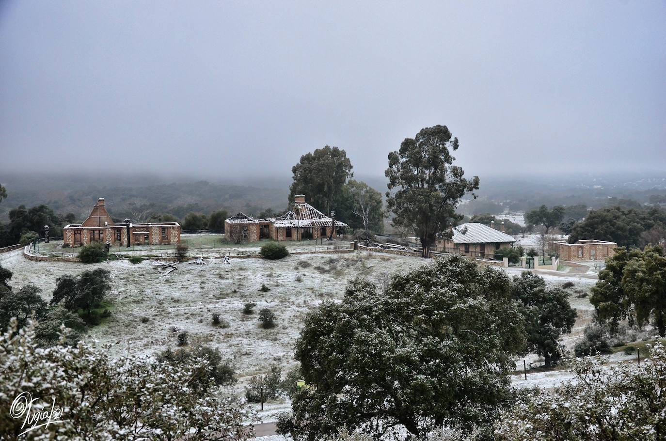 En imágenes, las primeras nevadas en la Sierra Norte de Sevilla