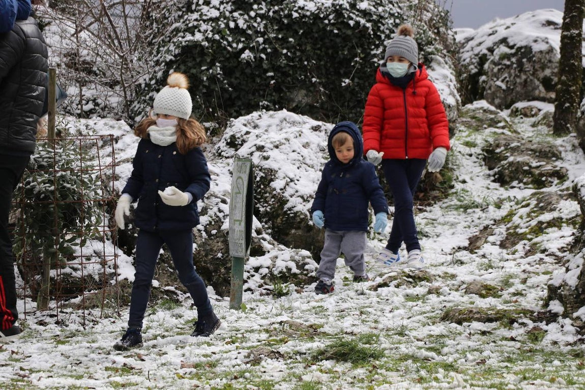 La nieve en la Sierra de Cabra este domingo, en imágenes