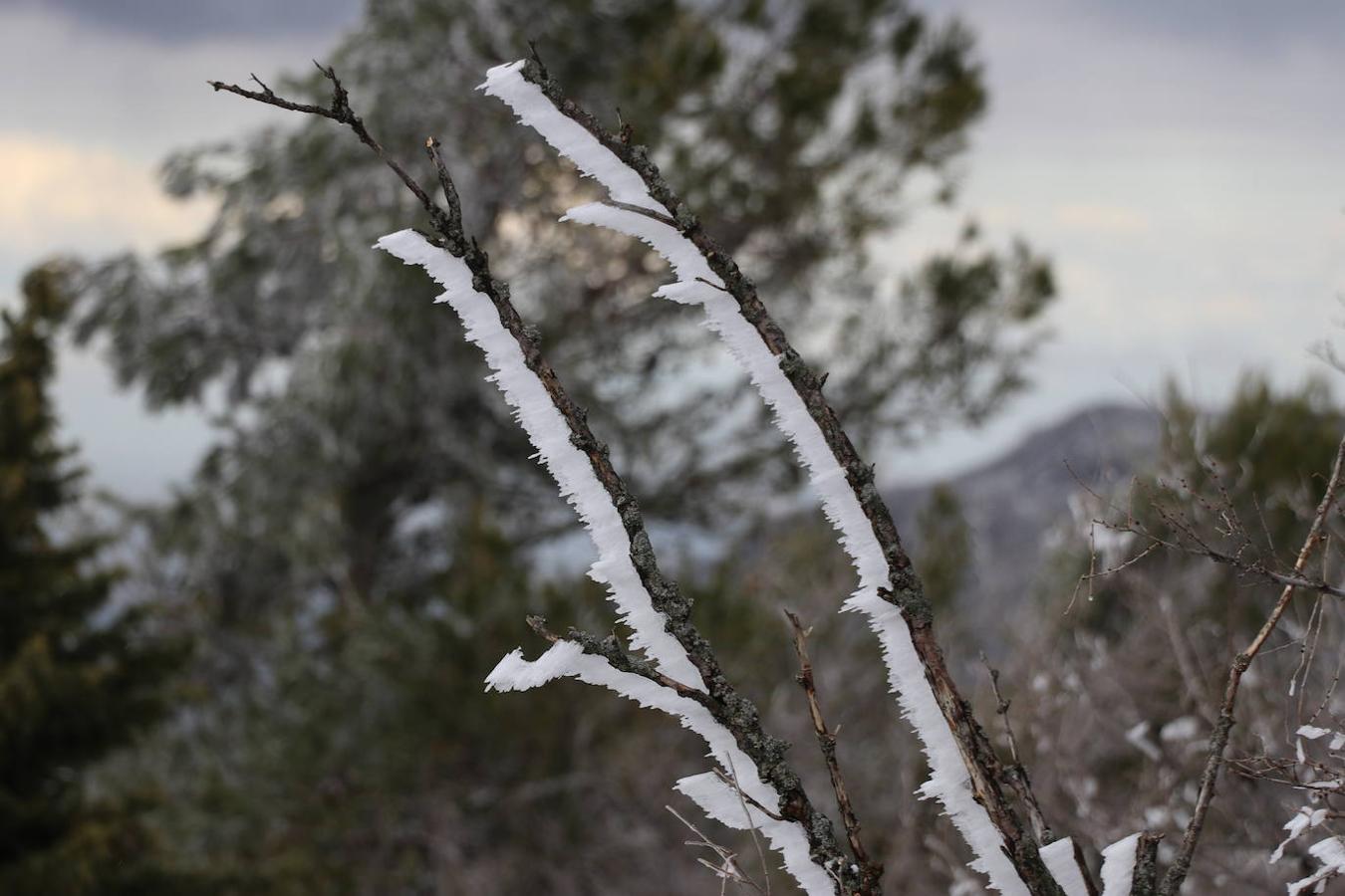 La nieve en la Sierra de Cabra este domingo, en imágenes