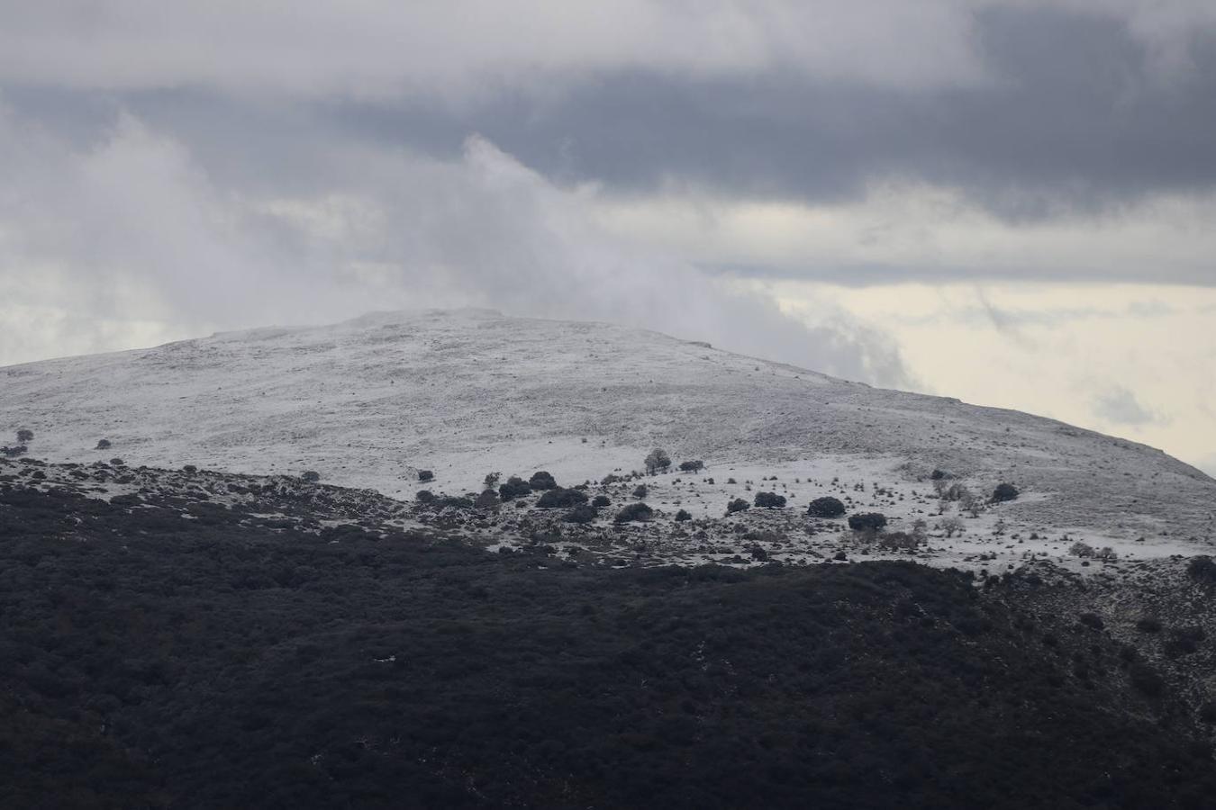 La nieve en la Sierra de Cabra este domingo, en imágenes