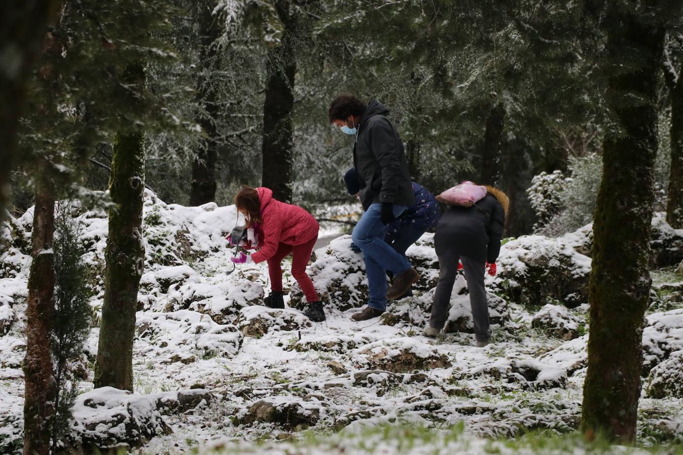 La nieve en la Sierra de Cabra este domingo, en imágenes