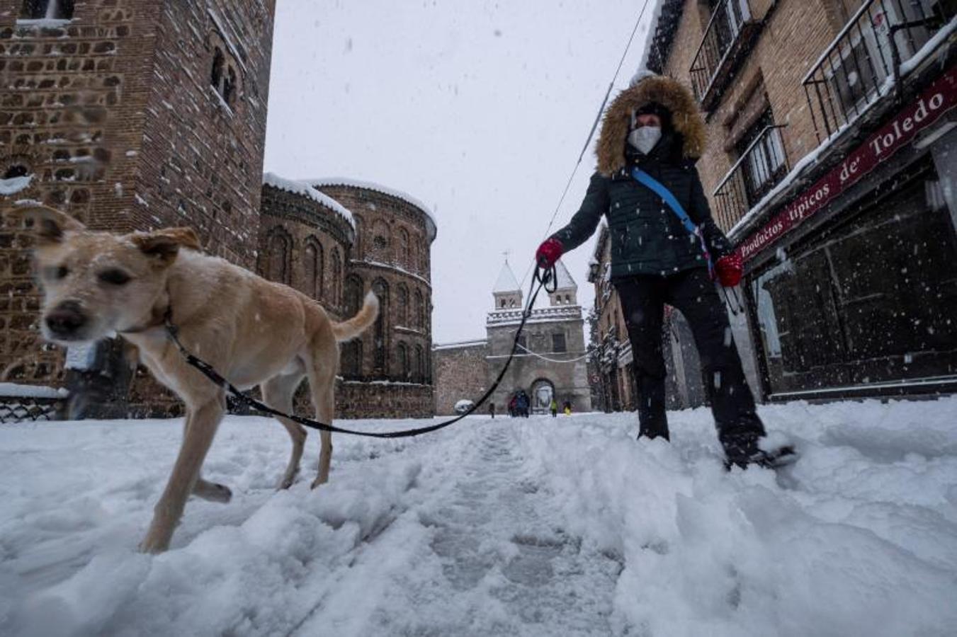 Una persona pasea con su perro en Toledo. 