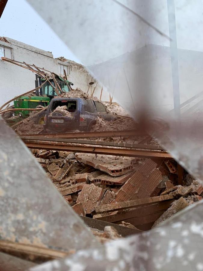 Los estragos de Filomena en el campo español. 