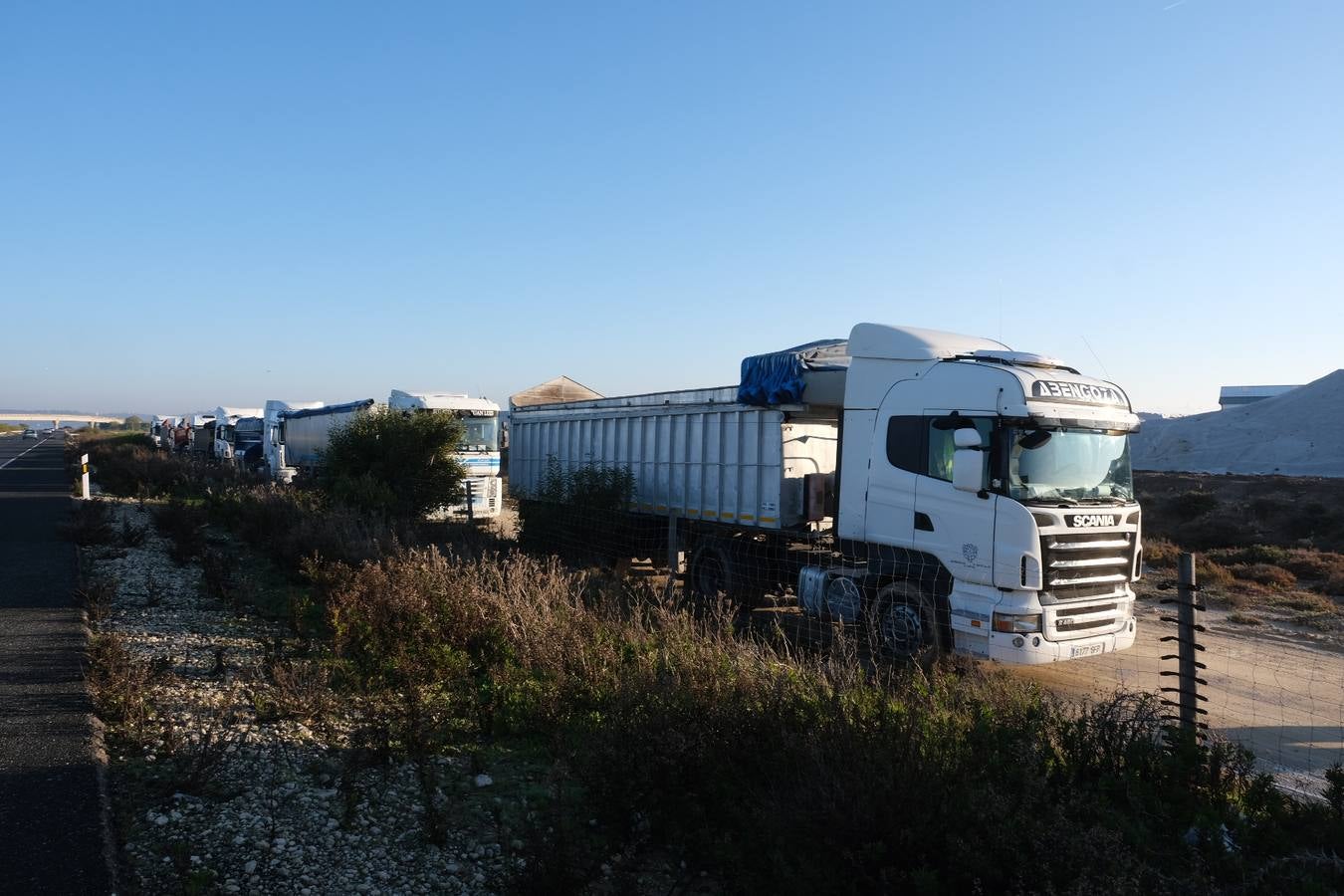 Fotos: Sal de Cádiz para descongelar España