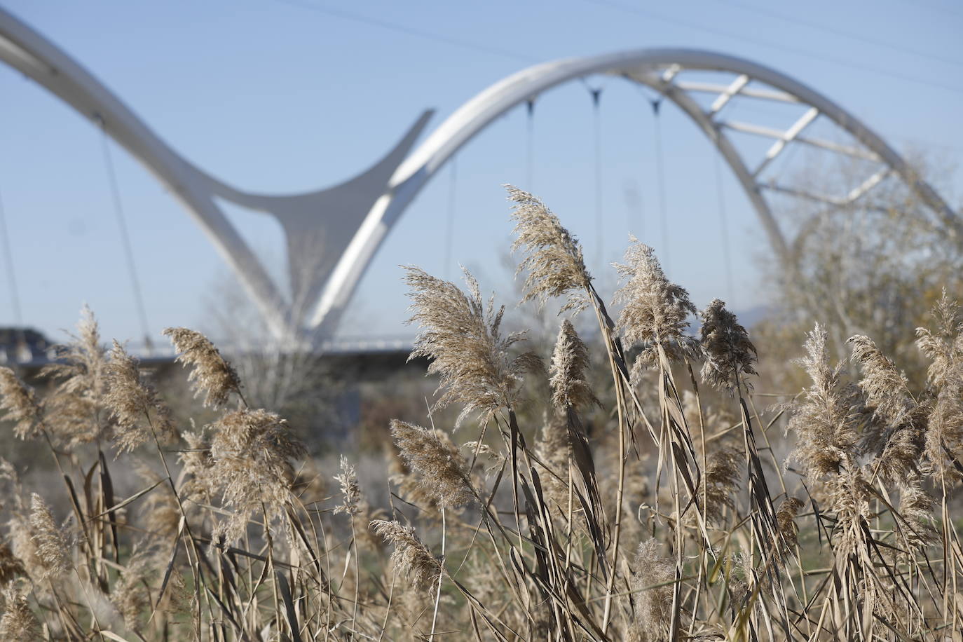 El esbelto aspecto del puente de Ibn Firnás de Córdoba que cumple 10 años, en imágenes