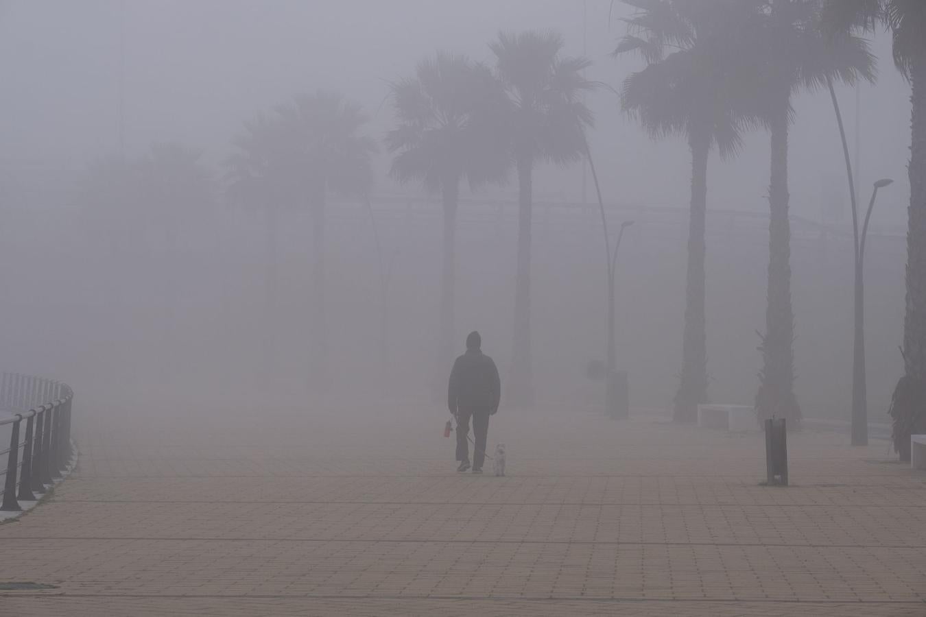 Cádiz, la bahía fantasma