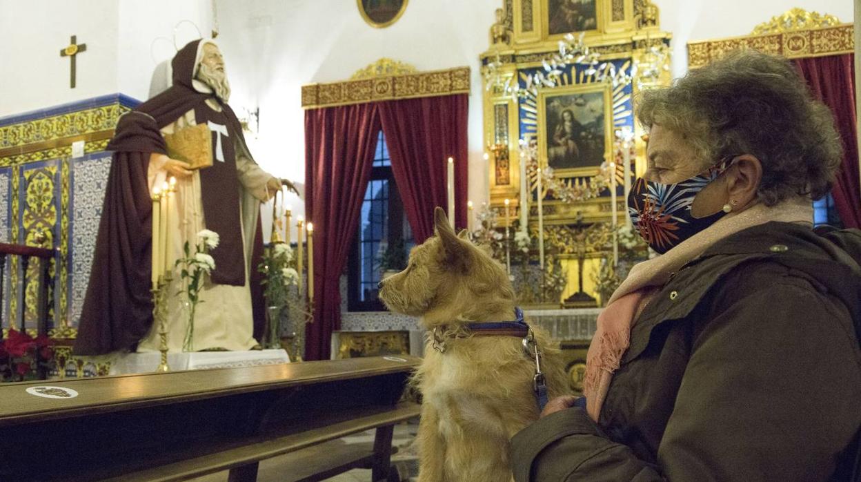 Bendición de animales por San Antón en Sevilla