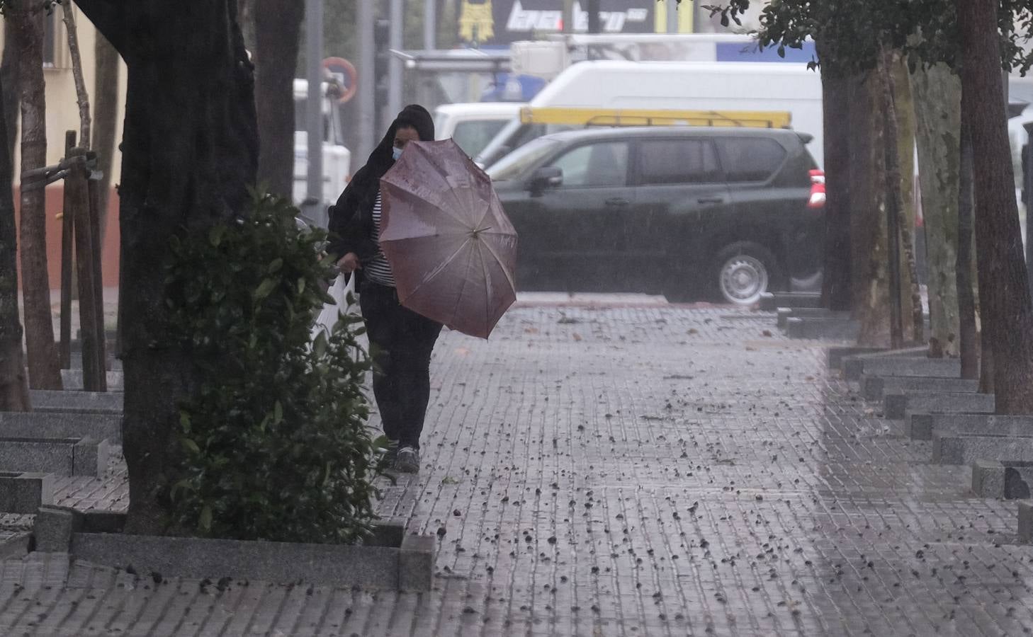 El temporal de lluvia en Cádiz, en imágenes