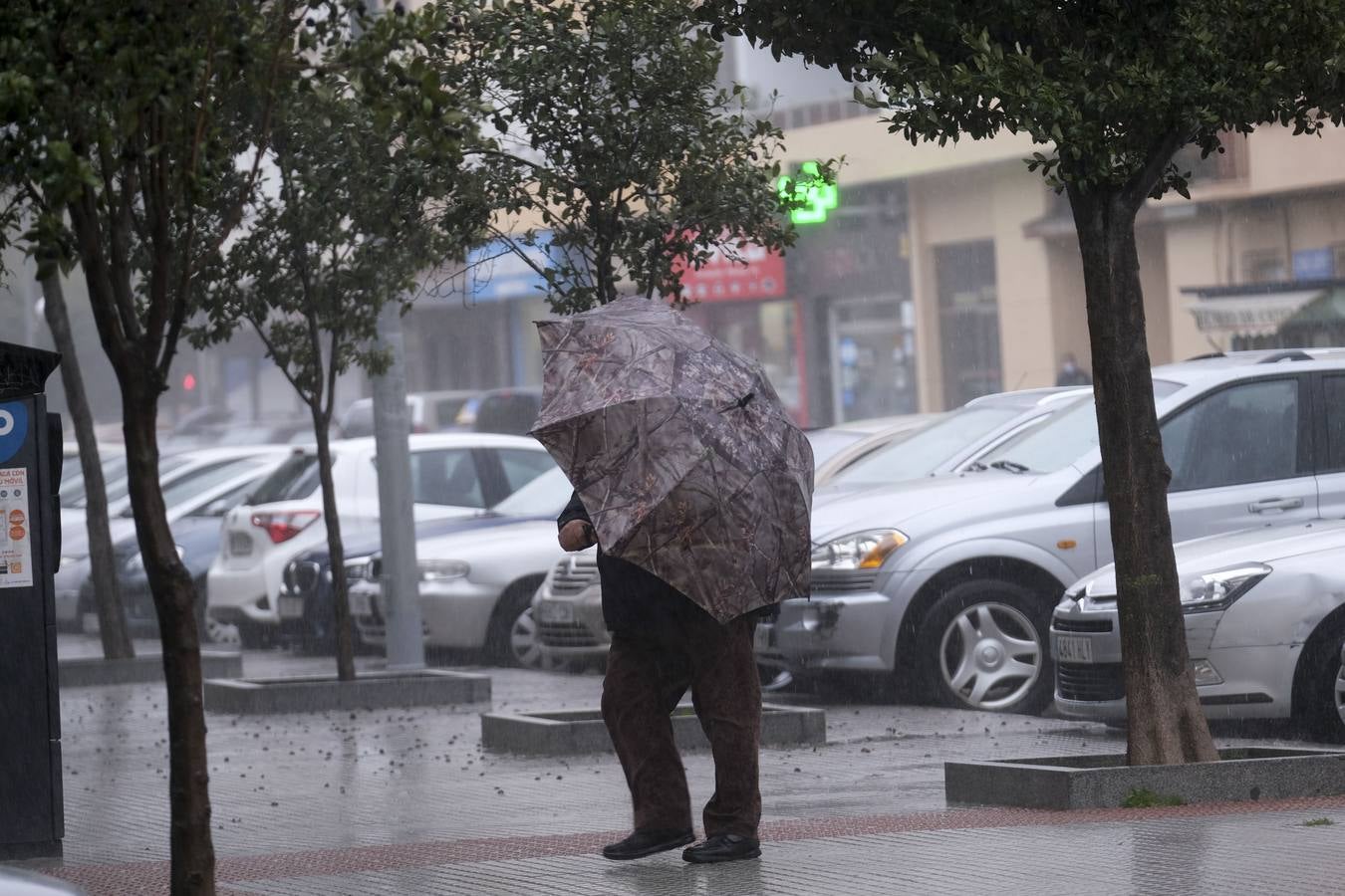 El temporal de lluvia en Cádiz, en imágenes