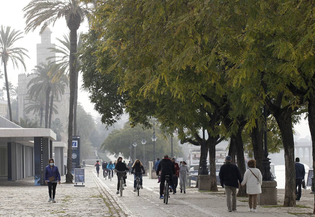 Muchos sevillanos practican deporte  junto al río Guadalquivir