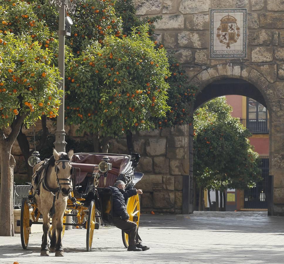 Las imágenes del ambiente que se vive en Sevilla con el cierre perimetral