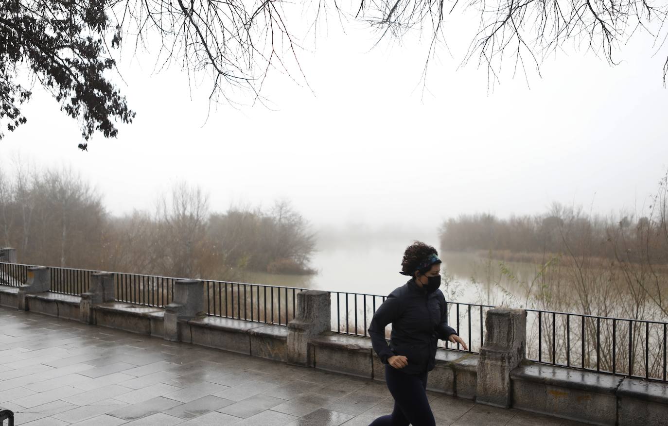 En imágenes, la mañana de niebla en Córdoba