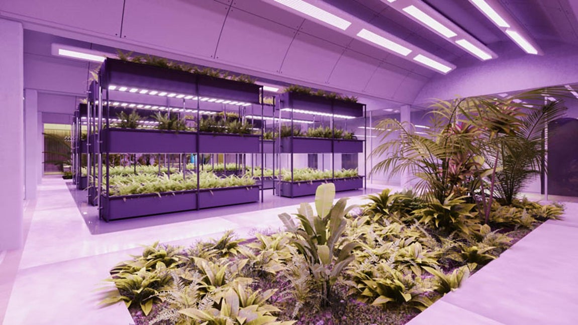 El búnker de lujo favorito de los millonarios. Posee una serie de módulos que rodean un jardín de cultivo hidropónico que actúa como un invernadero subterráneo. “En total se destina al cultivo 120 metros cuadrados de superficie que estará iluminada las 24 horas del día con leds violetas, los más eficaces para soluciones subterráneas”, explican en su web.