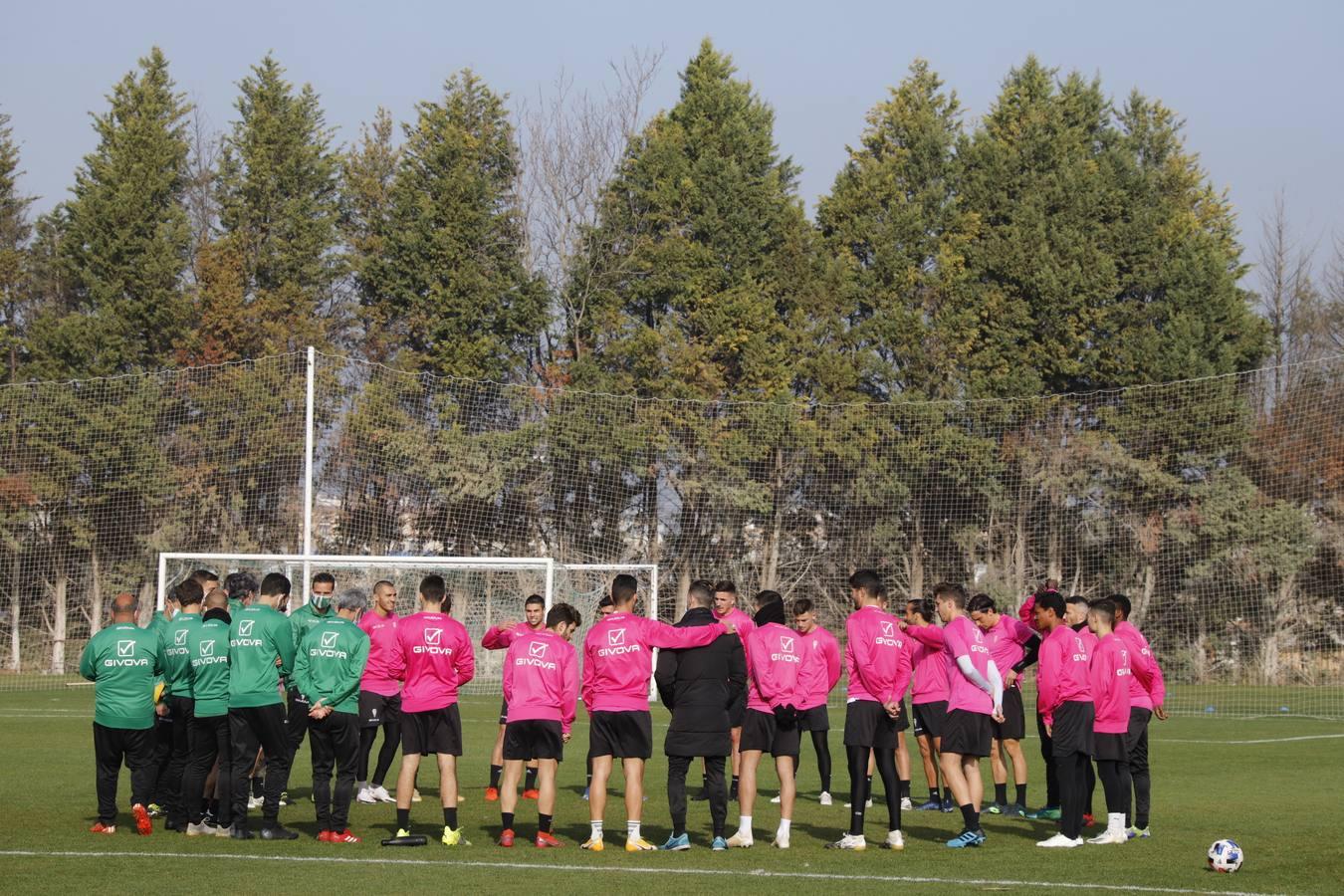 El primer entrenamiento de Alberto Ródenas con el Córdoba CF, en imágenes