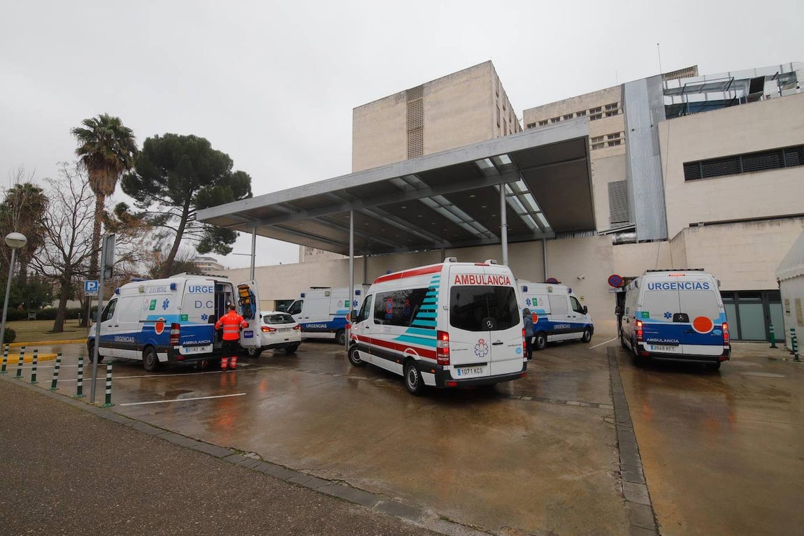 La alta actividad del Reina Sofía de Córdoba por el Covid-19, en imágenes
