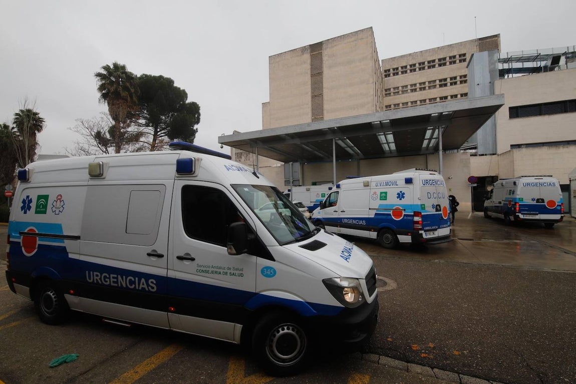 La alta actividad del Reina Sofía de Córdoba por el Covid-19, en imágenes