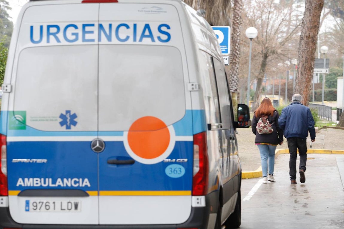 La alta actividad del Reina Sofía de Córdoba por el Covid-19, en imágenes