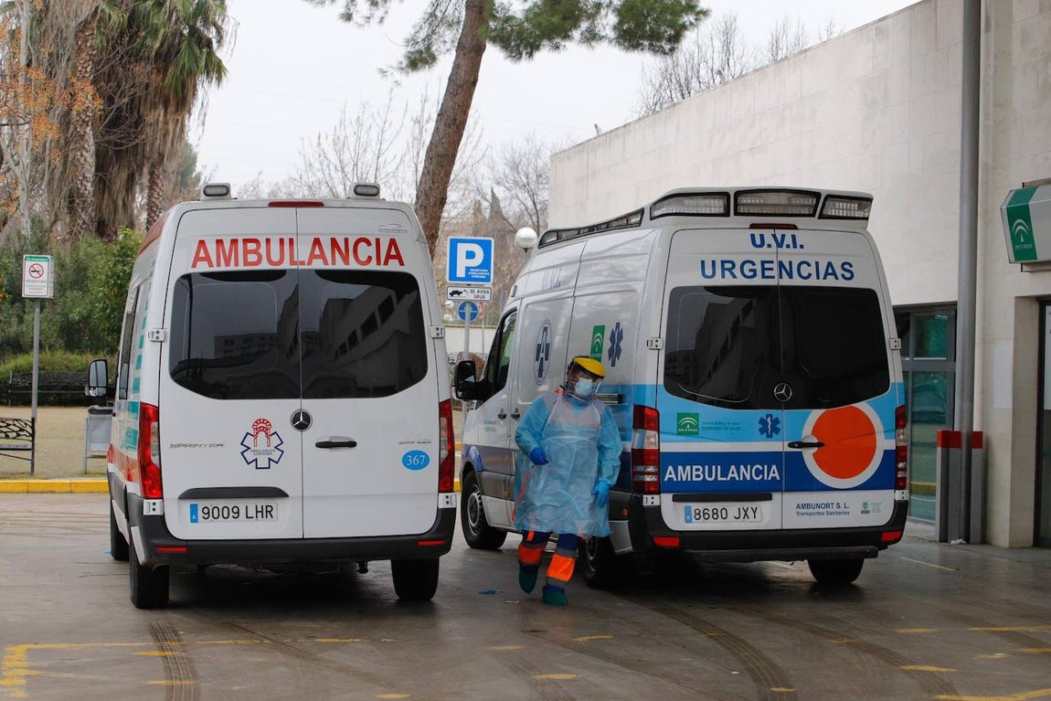 La alta actividad del Reina Sofía de Córdoba por el Covid-19, en imágenes