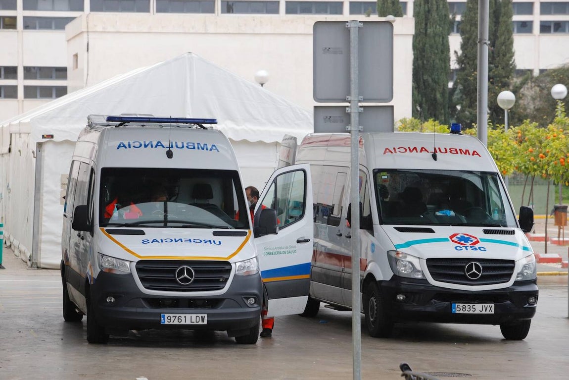 La alta actividad del Reina Sofía de Córdoba por el Covid-19, en imágenes