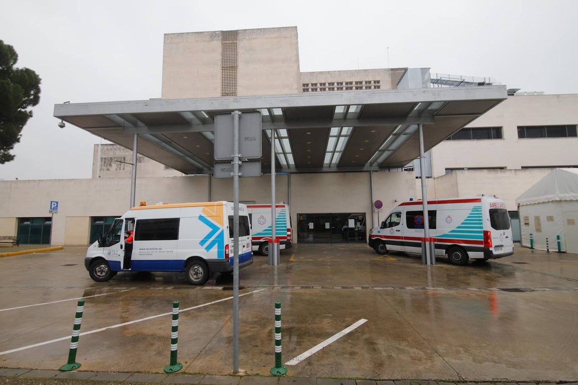 La alta actividad del Reina Sofía de Córdoba por el Covid-19, en imágenes