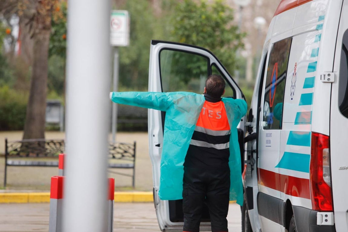 La alta actividad del Reina Sofía de Córdoba por el Covid-19, en imágenes