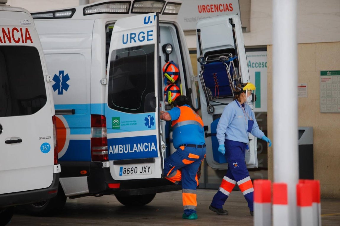 La alta actividad del Reina Sofía de Córdoba por el Covid-19, en imágenes