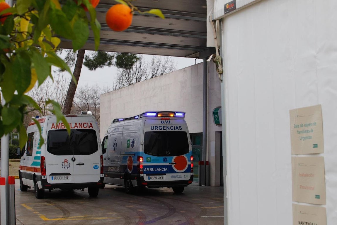 La alta actividad del Reina Sofía de Córdoba por el Covid-19, en imágenes