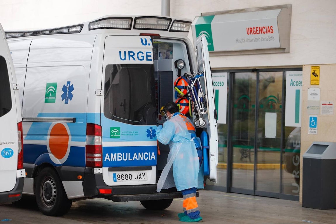 La alta actividad del Reina Sofía de Córdoba por el Covid-19, en imágenes