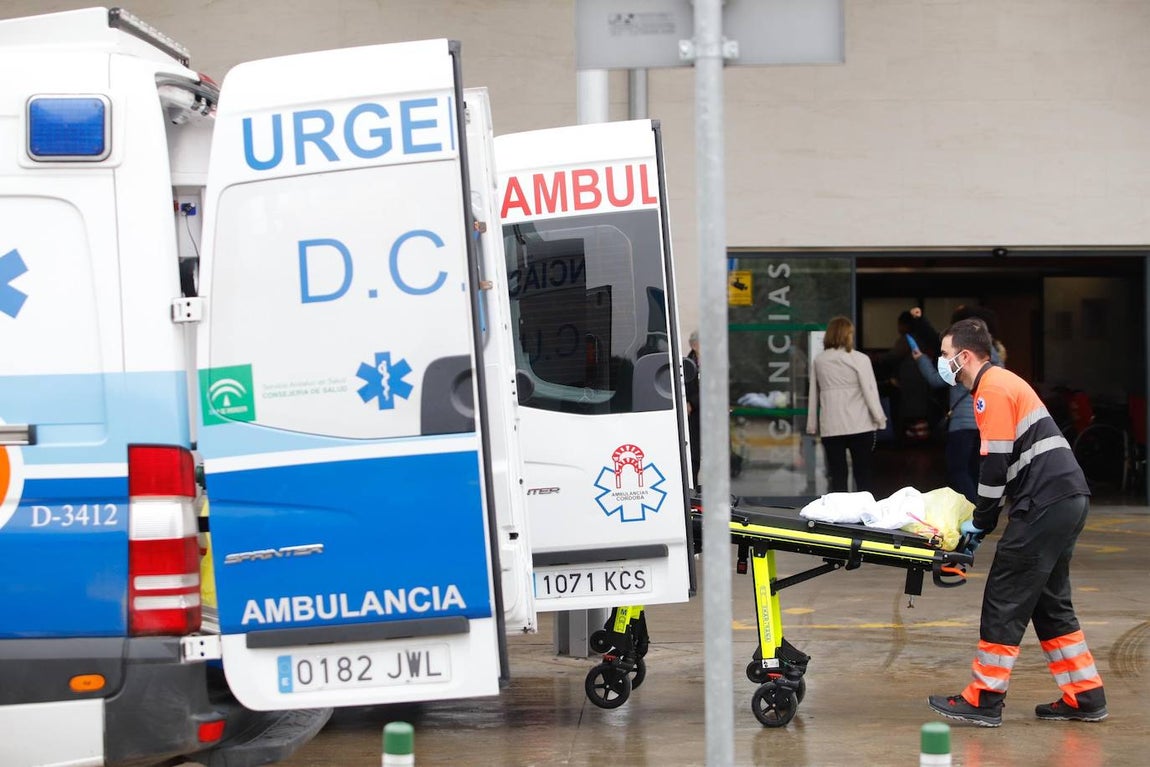 La alta actividad del Reina Sofía de Córdoba por el Covid-19, en imágenes