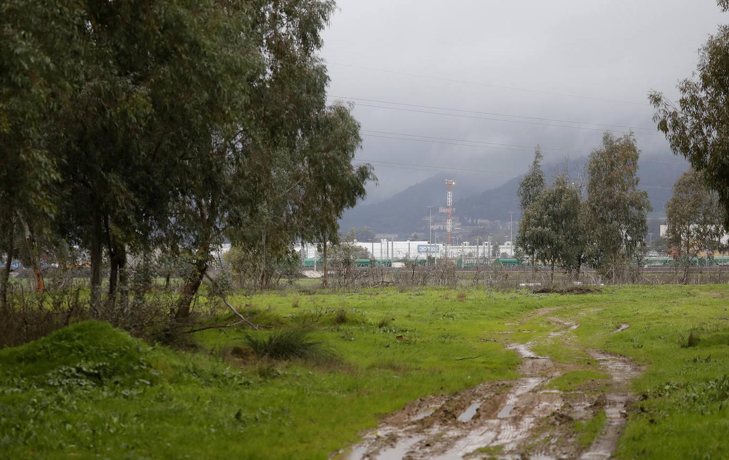 Los terrenos de la futura base logística del Ejército de Tierra en Córdoba, en imágenes