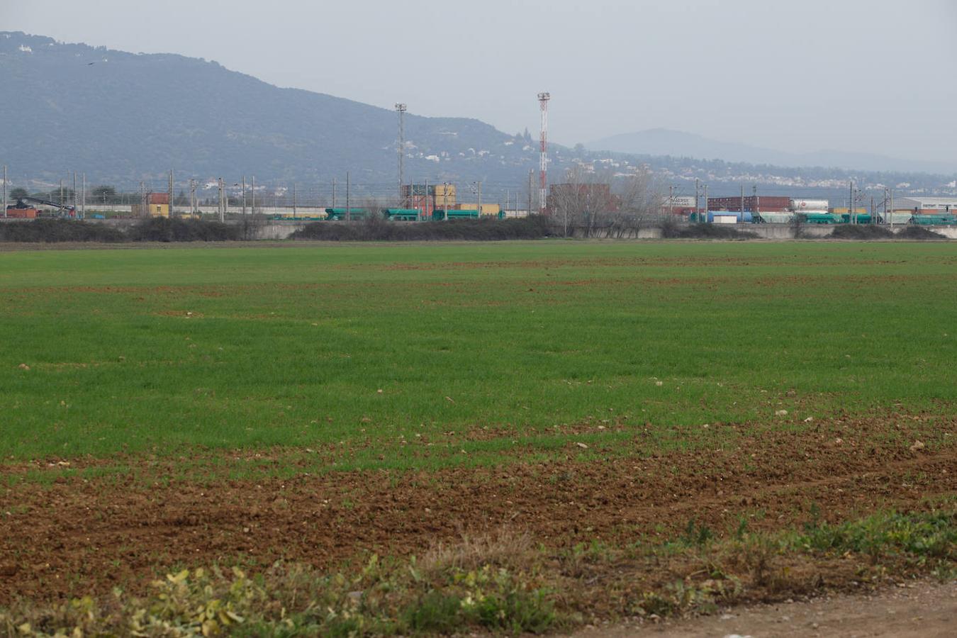 Los terrenos de la futura base logística del Ejército de Tierra en Córdoba, en imágenes