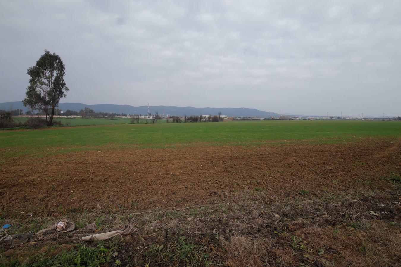 Los terrenos de la futura base logística del Ejército de Tierra en Córdoba, en imágenes