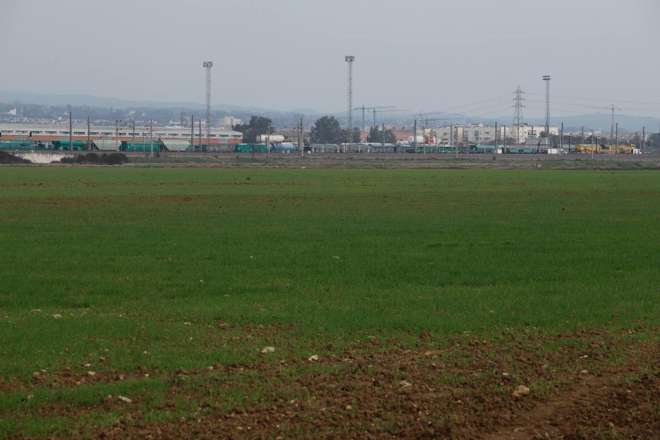 Los terrenos de la futura base logística del Ejército de Tierra en Córdoba, en imágenes