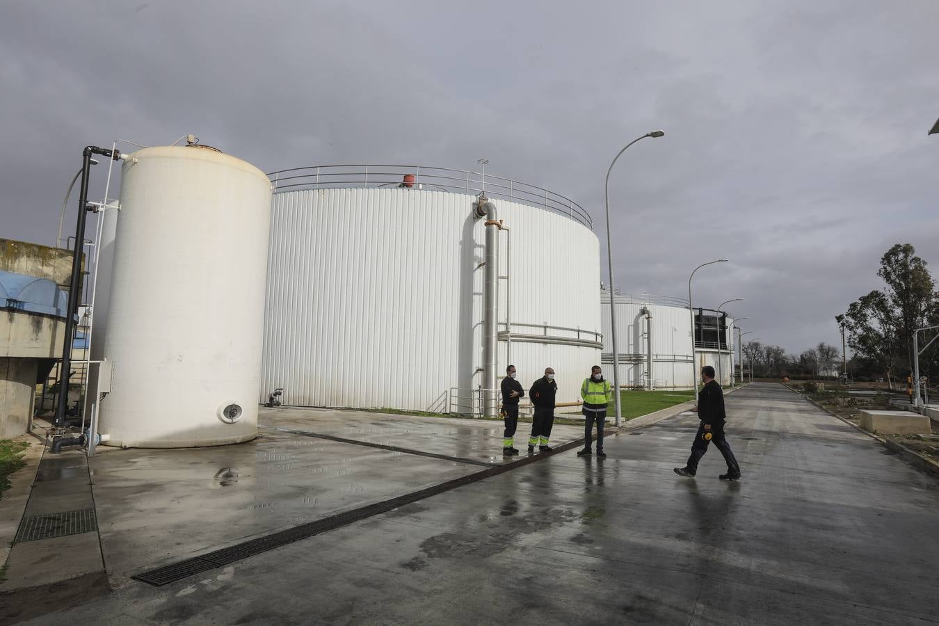 Naranjas que se convertirán en combustible en la estación El Copero