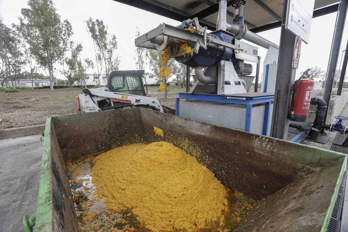 Naranjas que se convertirán en combustible en la estación El Copero