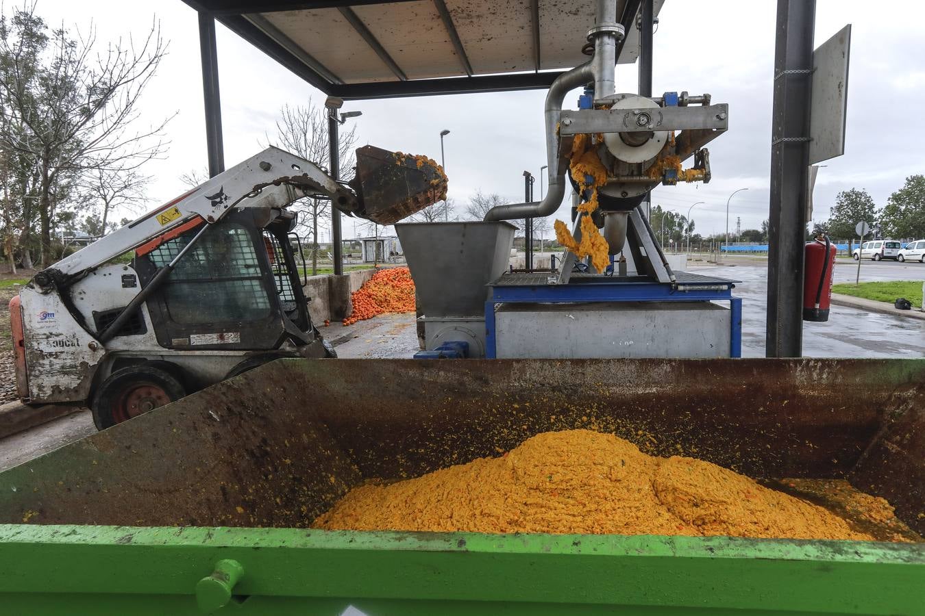 Naranjas que se convertirán en combustible en la estación El Copero