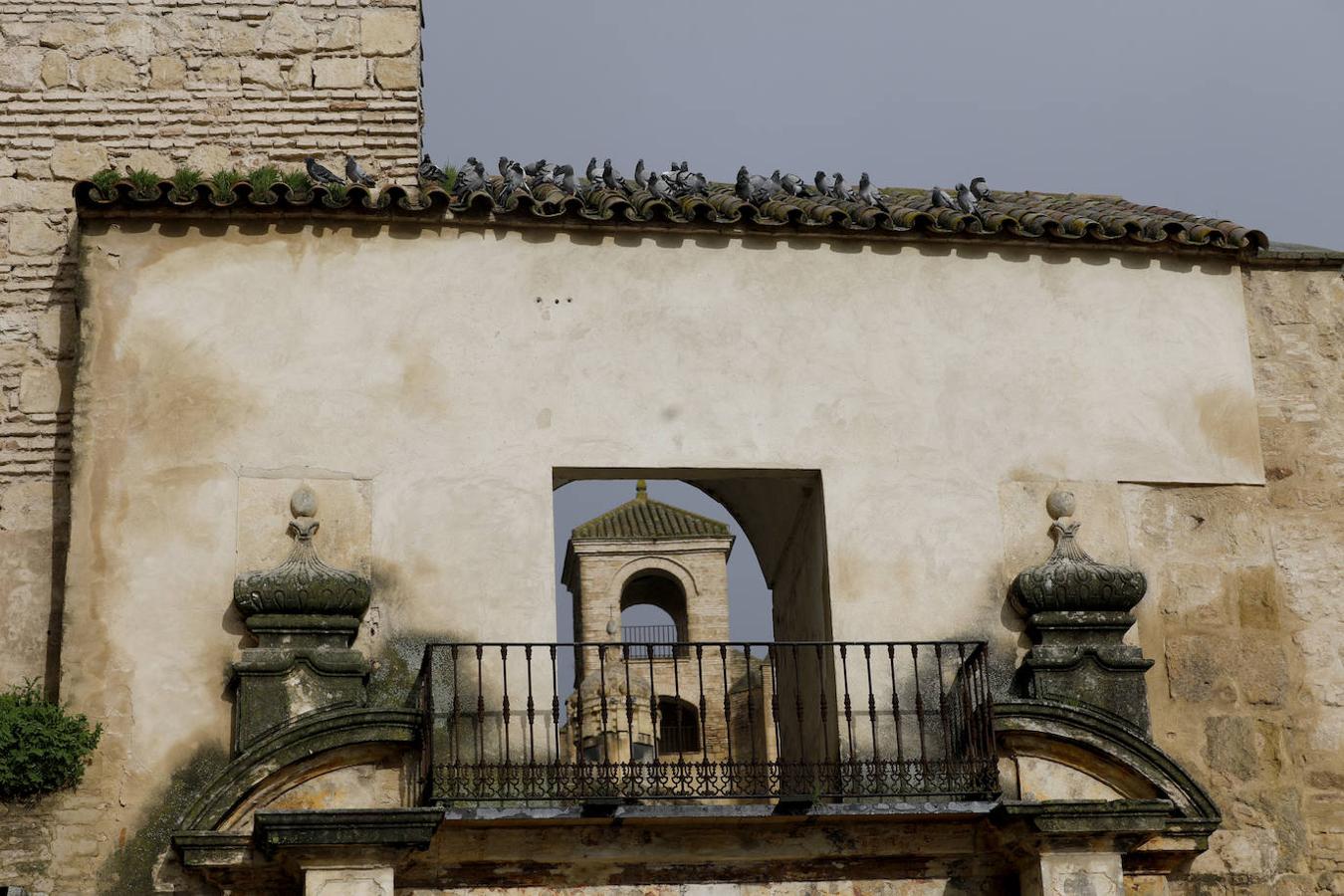 Luces y sombras de torres, puertas y patrimonio de Córdoba, en imágenes