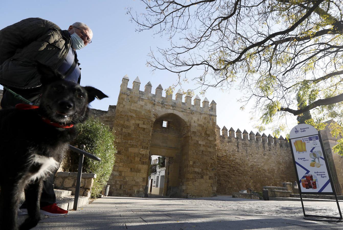 Luces y sombras de torres, puertas y patrimonio de Córdoba, en imágenes