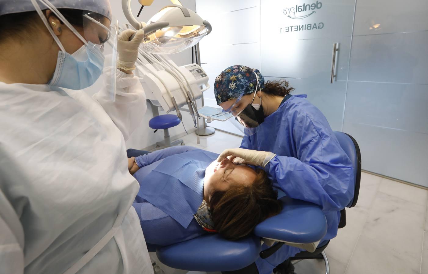 El día a día de los dentistas de Córdoba, en imágenes